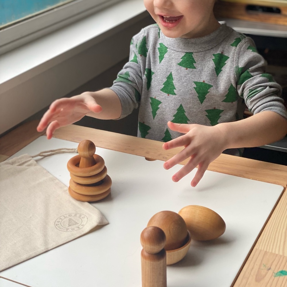 Montessori Toddler Wood Toy Play Kit - Picture 2 of 6